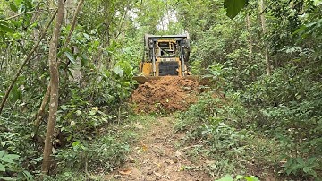 D6R XL Bulldozer Road Service, A Crucial Step for Plantation Roads