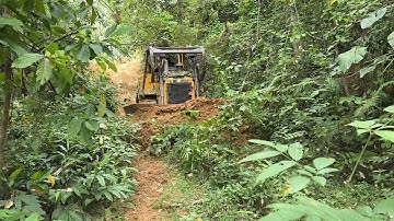 D6R XL Bulldozer Road Service, A Crucial Step for Plantation Roads