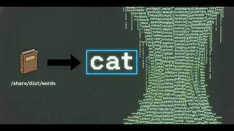 The Secret History of the Command Line — How We Learned to Talk to Computers