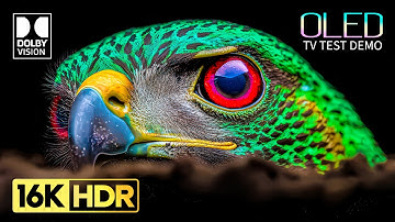 OLED TEST DEMO | 16K HDR 120 FPS Dolby Vision (8K / 4K Video TV TEST)