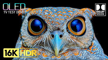 OLED TEST DEMO | 16K HDR 120 FPS Dolby Vision (8K / 4K Video TV TEST)