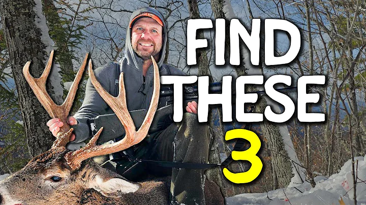 Public Land Late Season: Find These 3 Things and You’ll Find Bucks