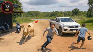 Incredible Moments Captured by Cameras #233