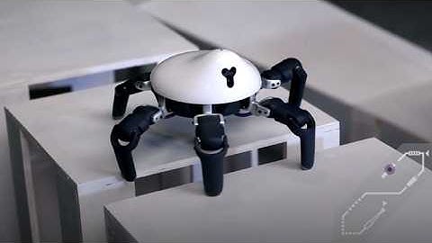 Hexapod Robot Explained | How Hexa Robot Works