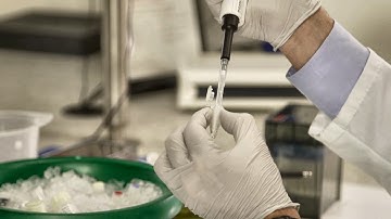 Run High-Sensitivity Immunoassays Fast | ProQuantum Workflow