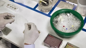 Run High-Sensitivity Immunoassays Fast | ProQuantum Workflow