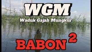 WGM terbaru || PANEN BABON NILA ‼️Mancing Nyobok Waduk Gajah Mungkur❗#mancing #fishing #fish