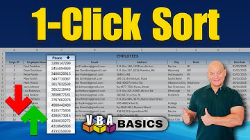 Excel Pro Tip: The One-Click Way to Sort Data For VBA Newbies + FREE Download