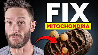 The New Era of Fat Loss is Here (lose fat, build muscle, sleep harder)