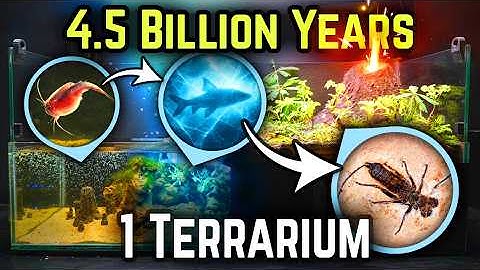 Simulating 4.5 BILLION Years of Evolution... in my Bedroom