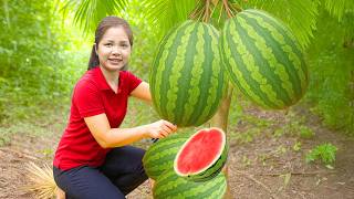 How to Harvesting 1000 Kg SWEET Watermelon Goes To Market Sell,Clearing cassava grass at the village