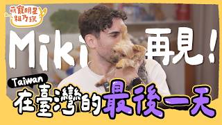 [SUB] EP9 中文怪物 酷的夢 與毛孩 Miki 的最後一天！真情流露 Sandy 淚崩招架不住！？【 萌寵明星粗乃玩 】完整版 @haveapetday Sandy Ku's dream酷的夢