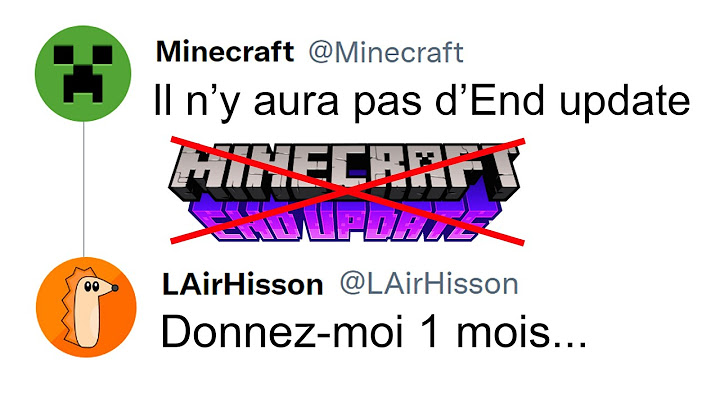 J'ai codé la mise à jour de l'End avant Minecraft...