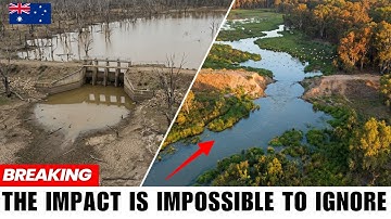 Australia Removed a Dam and Nature Took Over — Nobody Saw This Coming