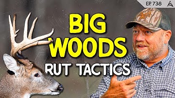 Big Woods Bucks & Hidden Doe Groups: Benji Vote