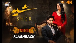 Sher Episode Flashback 🔥 | 2 October 2025 | Danish Taimoor | Sarah Khan  | ARY Digital Drama