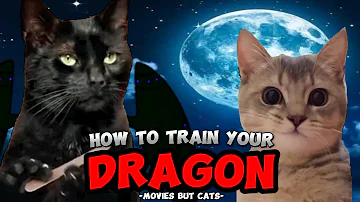 CAT MEME MOVIES: HOW TO TRAIN YOUR DRAGON RECAP