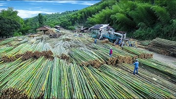 Inside a Giant Sustainable Bamboo & Wood Factory - 300,000 Chairs/Year. Furniture Production Process