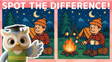 Are You Clever Enough for These Puzzles? (Odd One Out & Spot The Difference) (Normal)