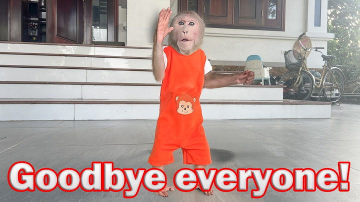 Bibi says goodbye to everyone and see you soon!