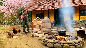 #11 Genius CEO Left the City for the Forest: Built A Beautiful Dream Paradise House for His Puppy