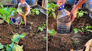 This Bottle Turns Trash Into Fertilizer — Genius Garden Hack You Must Try!