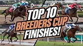 Top 10 Most Intense Breeders