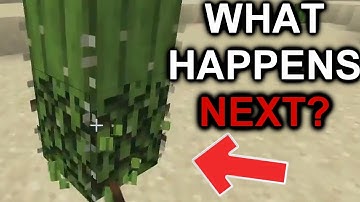 Can YOU Figure out what happens next in these Minecraft videos?