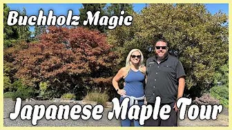 A Tour of Buchholz Nursery Japanese Maples for Days! | Ghost Cascade, Red Panda & More!