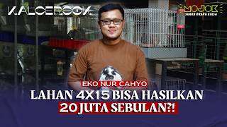 TIPS PELIHARA KELINCI HIAS, MUDAH DAN MURAH | KALCERSOK