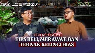 TIPS PELIHARA KELINCI HIAS, MUDAH DAN MURAH | KALCERSOK