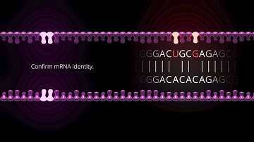 Complete mRNA quality control with Oxford Nanopore sequencing