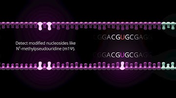 Complete mRNA quality control with Oxford Nanopore sequencing