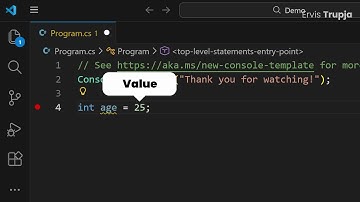 What Are Variables in C#? (Storage Containers)