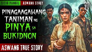 PINAG-AAGAWANG TANIMAN NG PINYA SA BUKIDNON | Kwentong Aswang | True Story