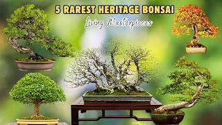 5 Rarest Heritage Bonsai on Earth | Living Masterpieces & Cultural Treasures