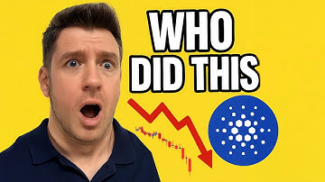 They Just Attacked Cardano ADA And Charles Hoskinson Was the Target