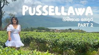 Summer House | ගිම්හාන ගෙදර | Part 2 | Pussellawa, Sri Lanka 💜 ⛰️