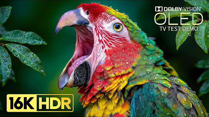 Absolutely Amazing 16K HDR 120 fps Dolby Vision (8K/4K TV)