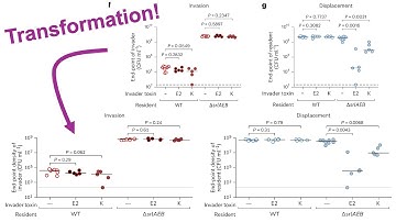 Remaking a jittered plot with P values from Nature Microbiology in R with ggplot2 (CC389)