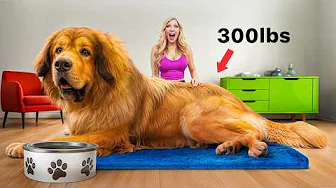 youtube recommendation