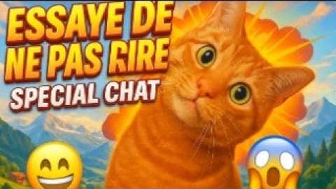 Essaye de ne pas rire😂 Spéciale chat... 99.999 IMPOSSIBLE😬