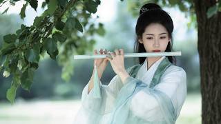 Calm the Restless Heart in the Shade of the Bodhi Light 🍃 Healing Wuxia Music