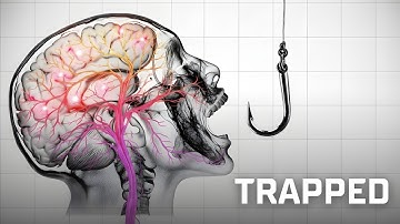 The Science of Addiction: Why Your Brain Gets Hooked