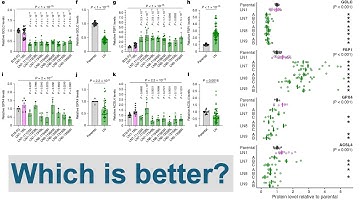How to combine map and patchwork to make facets of facets with ggplot2 in R (CC387)