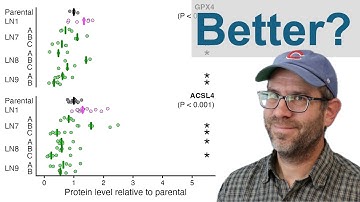 How to combine map and patchwork to make facets of facets with ggplot2 in R (CC387)