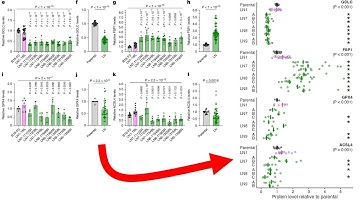 How to combine map and patchwork to make facets of facets with ggplot2 in R (CC387)