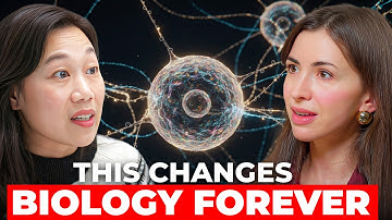 How AI Is Breaking the Rules of Biology | Dr. Priscilla Chan, Chan Zuckerberg Initiative