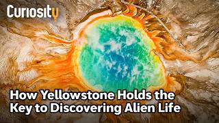 Life’s Ancient Roots: Yellowstone’s Microbes and the Search for Aliens