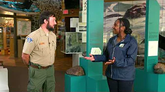 Wisconsin Life | Wisconsin's oldest state park reveals Ice Age geology secrets